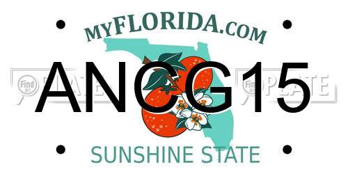 ANCG15 Florida License Plate