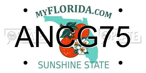 ANCG75 Florida License Plate