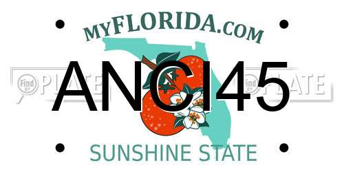 ANCI45 Florida License Plate