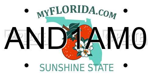 AND1AM0 Florida License Plate
