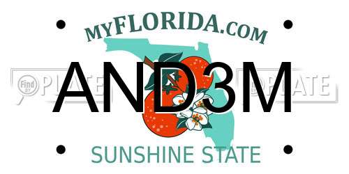 AND3M Florida License Plate