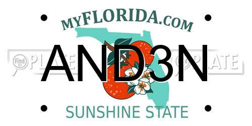 AND3N Florida License Plate