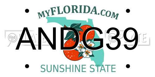ANDG39 Florida License Plate