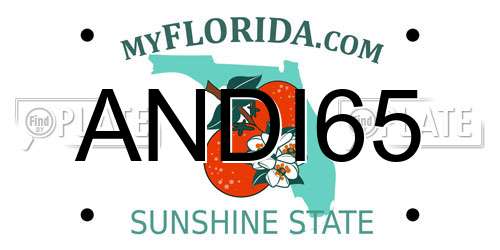 ANDI65 Florida License Plate