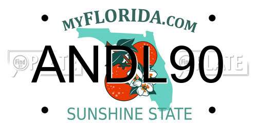 ANDL90 Florida License Plate