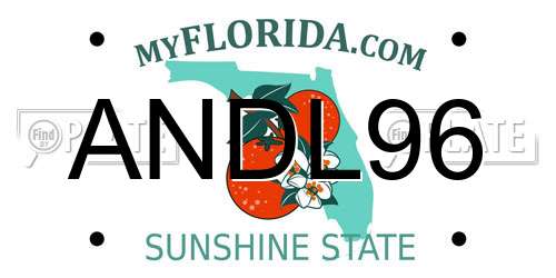 ANDL96 Florida License Plate