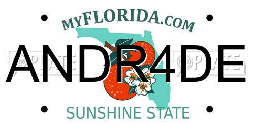 ANDR4DE Florida License Plate