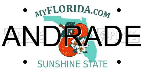 ANDRADE Florida License Plate