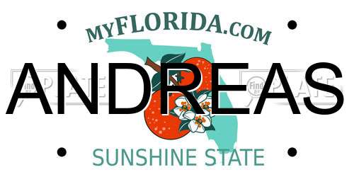ANDREAS Florida License Plate