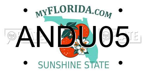 ANDU05 Florida License Plate