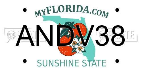 ANDV38 Florida License Plate