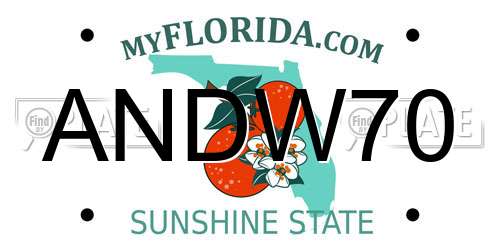 ANDW70 Florida License Plate