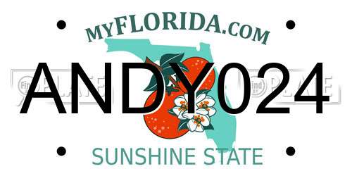 ANDY024 Florida License Plate