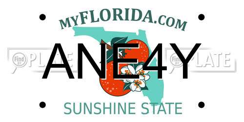 ANE4Y Florida License Plate