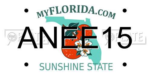 ANEE15 Florida License Plate