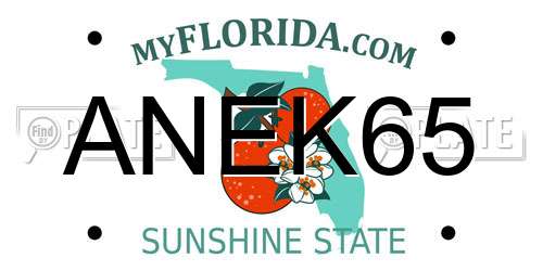 ANEK65 Florida License Plate
