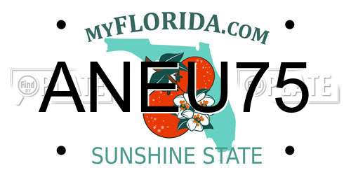 ANEU75 Florida License Plate