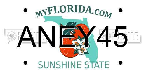 ANEY45 Florida License Plate