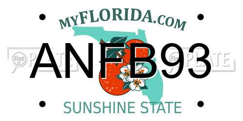 ANFB93 Florida License Plate