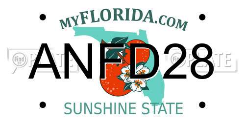 ANFD28 Florida License Plate