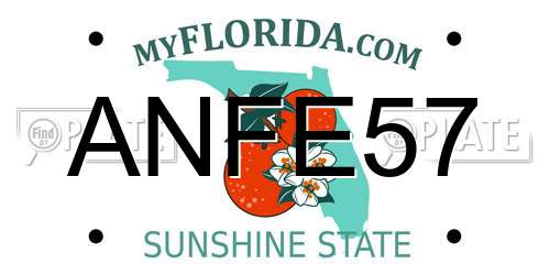 ANFE57 Florida License Plate