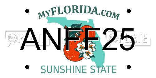 ANFF25 Florida License Plate