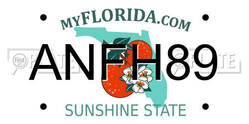 ANFH89 Florida License Plate
