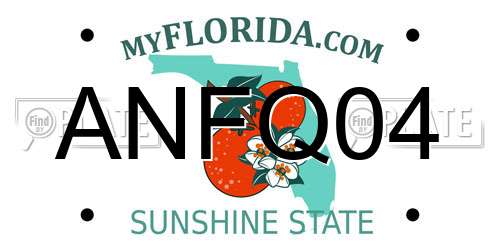 ANFQ04 Florida License Plate