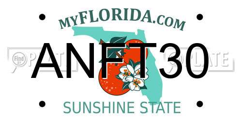 ANFT30 Florida License Plate