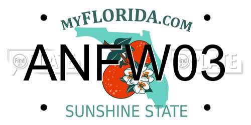 ANFW03 Florida License Plate