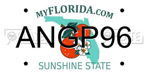 ANGP96 Florida License Plate