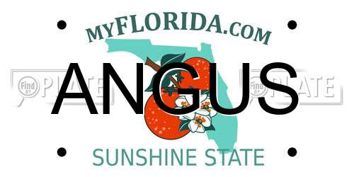 ANGUS Florida License Plate