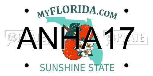 ANHA17 Florida License Plate