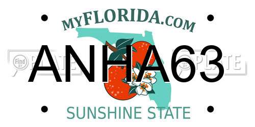 ANHA63 Florida License Plate