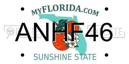 ANHF46 Florida License Plate