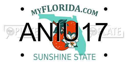 ANIU17 Florida License Plate
