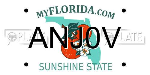 ANJ0V Florida License Plate