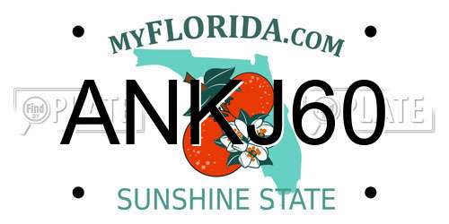 ANKJ60 Florida License Plate