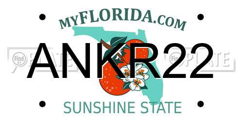 ANKR22 Florida License Plate