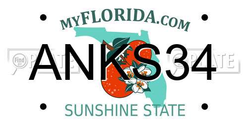 ANKS34 Florida License Plate
