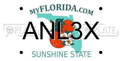 ANL3X Florida License Plate