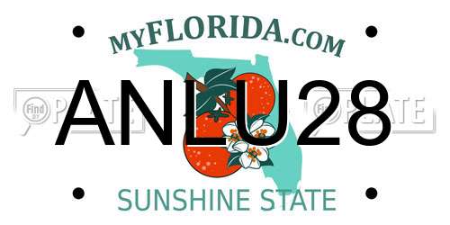 ANLU28 Florida License Plate