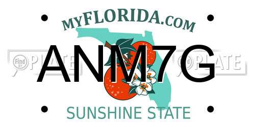 ANM7G Florida License Plate