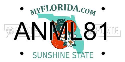 ANML81 Florida License Plate
