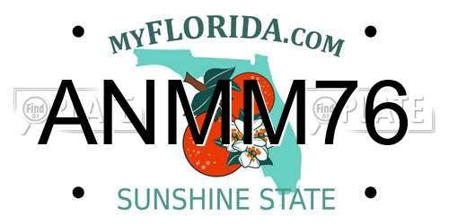 ANMM76 Florida License Plate