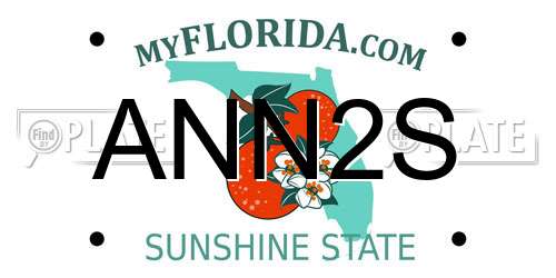 ANN2S Florida License Plate