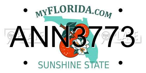 ANN3773 Florida License Plate