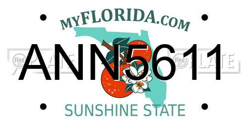 ANN5611 Florida License Plate