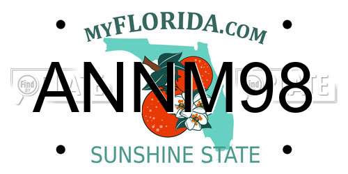 ANNM98 Florida License Plate