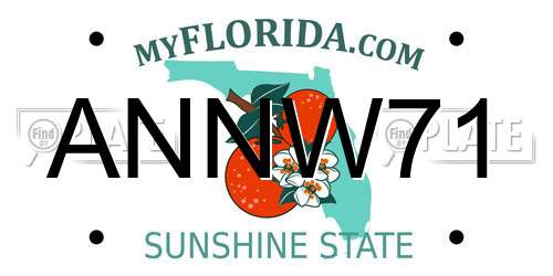 ANNW71 Florida License Plate